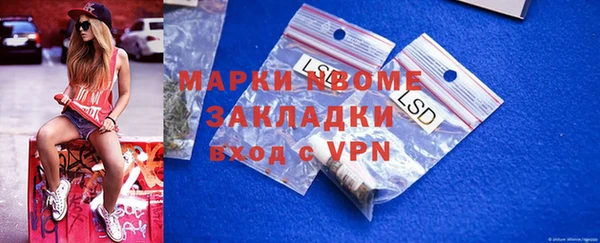 индика Ступино