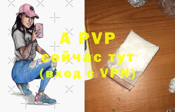 ECSTASY Нефтекумск