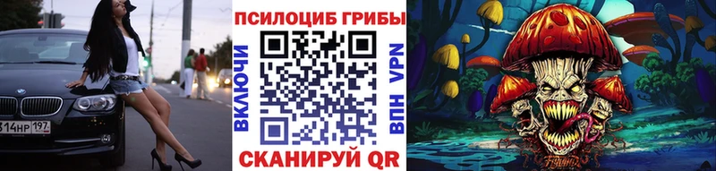 площадка клад  Холм  Псилоцибиновые грибы Cubensis 